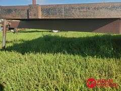 Car Trailer - 16FT
