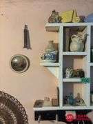 Shelf and Contents