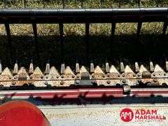 1995  Case IH  1020  Flex Head