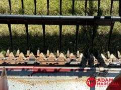 1995  Case IH  1020  Flex Head