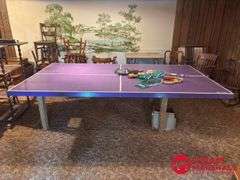 Ping Pong Table