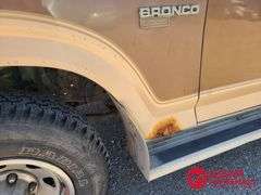 1986  Ford  Bronco  SUV - Gasoline