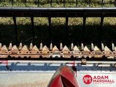1995  Case IH  1020  Flex Head