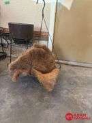 Misc. Outdoor Decor