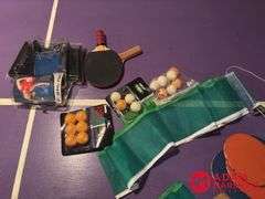 Ping Pong Table