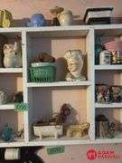 Shelf and Contents
