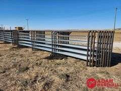 New 5x20FT Freestanding Panels with Continuous Fence 2 3/8 Pipe (sold 10 x bid)