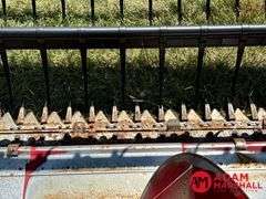 1995  Case IH  1020  Flex Head