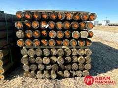 (160) Southern Yellow Pine Treated Posts (sold 160 x bid)