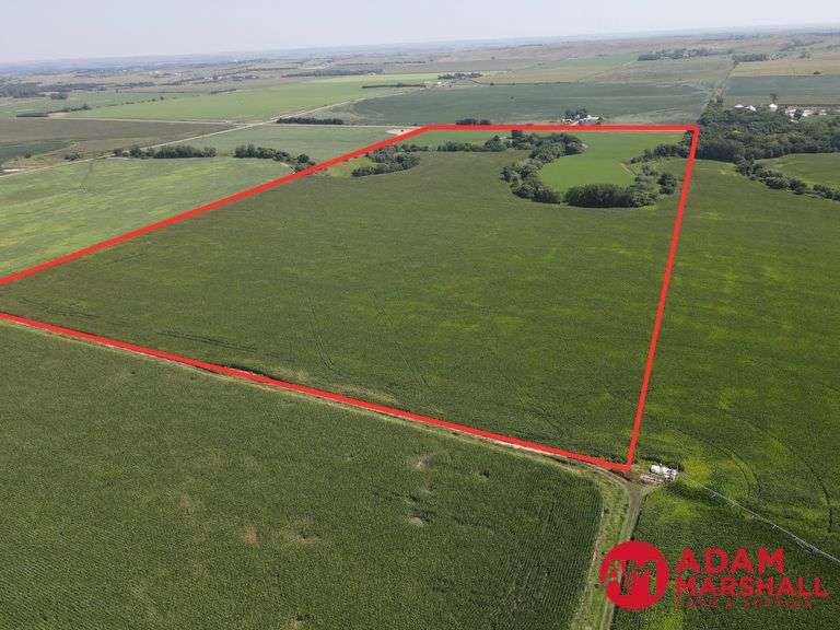 Tract 3 - 79.70 Acres More or Less