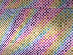 Free Spirit Tula Pink 12 YDS