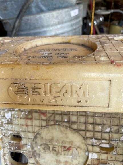 Tricam 4’ ladder