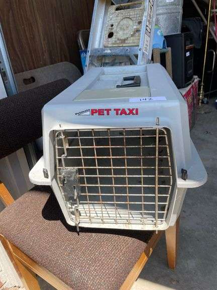 pet taxi