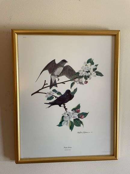 Bird Picture Collection From Mr. J.L. Wade