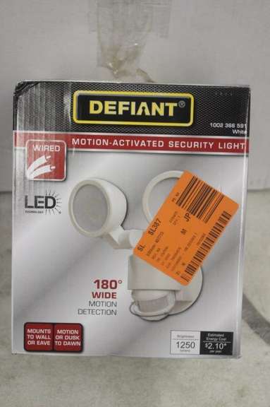 Motion Activated Security Light