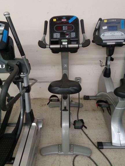 1 EACH-TRUE STRIDER - Matthews Auctioneers