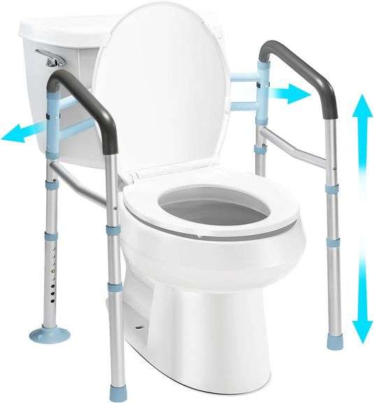 OasisSpace Stand Alone Toilet Safety Rail Heavy Duty Medical Toilet