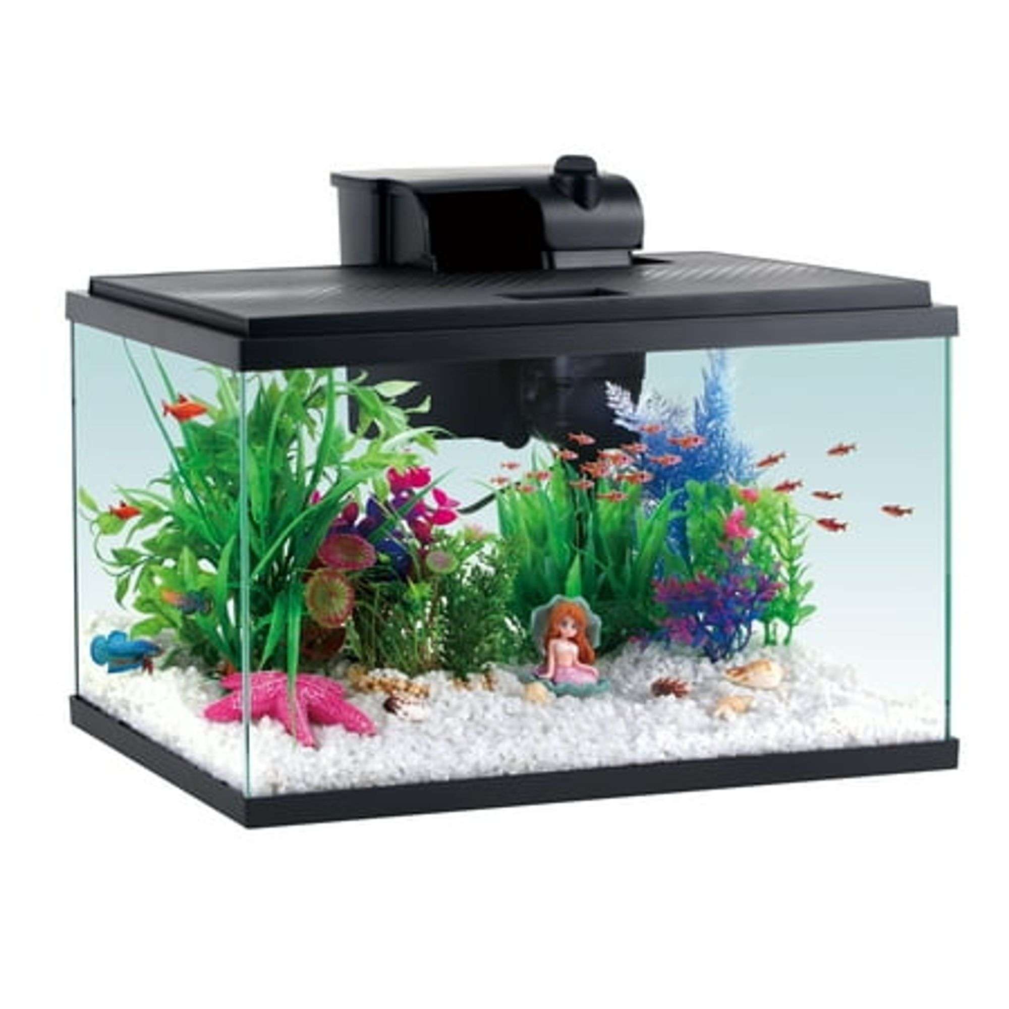 Aqua Culture 5G Glass Aquarium Starter Kit - Matthews Auctioneers