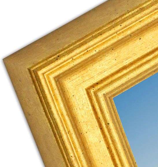 EKMAX 11x14 Picture Frame, Display Pictures 8x10 with Mat or 11x14 Without Mat, Wall Gallery Photo Frames, Gold.
