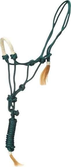 Professional's Choice Leather Halter w/ Rawhide Noseband main image 1
