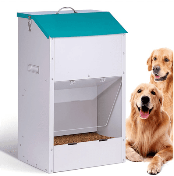 Small Automatic Dog Feeder Galvanized Steel Auto Dog Food Dispenser Metal Dog Self Feeders