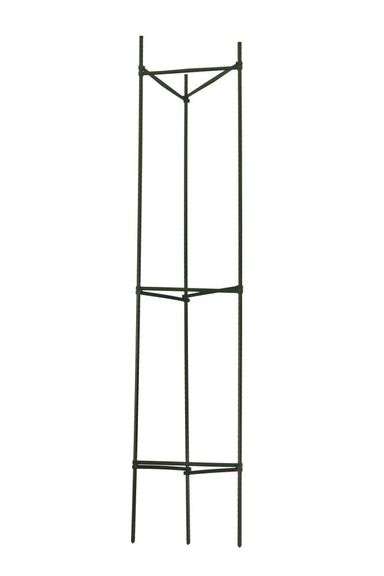 (6) Gardener's Blue Ribbon 60-in Powder-coated Galvanized Steel Wire Triangular Tomato Cage