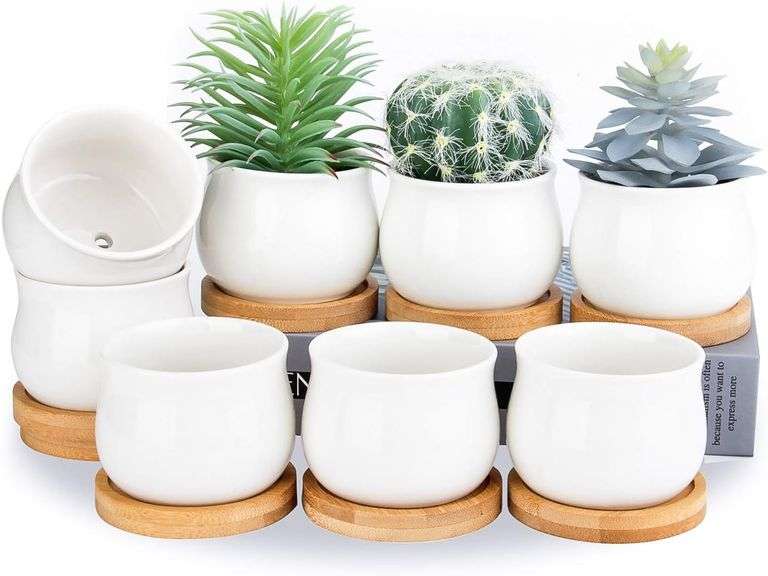 Succulent Plant Pot, SHECIPIN White Mini 2.5 inch Ceramic Flower Planter Pot with Bamboo Tray, Pack of 8 - Plants Not Included