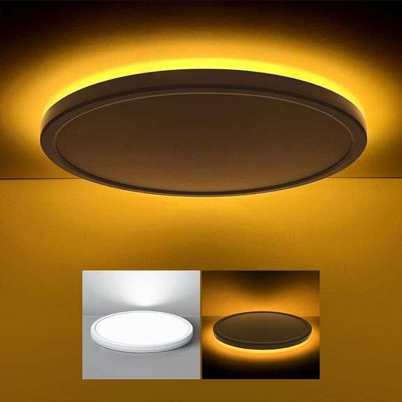 Matane 12 Inch LED Flush Mount Ceiling Light Fixture with Night Light ...