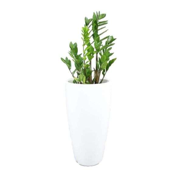 Rain Forest 43 in. Tall White Verona Plastic Planter