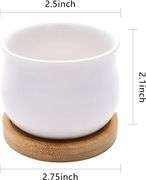 Succulent Plant Pot, SHECIPIN White Mini 2.5 inch Ceramic Flower Planter Pot with Bamboo Tray, Pack of 8 - Plants Not Included