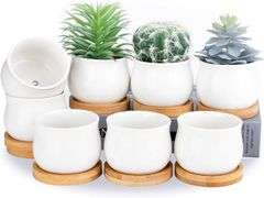 Succulent Plant Pot, SHECIPIN White Mini 2.5 inch Ceramic Flower Planter Pot with Bamboo Tray, Pack of 8 - Plants Not Included