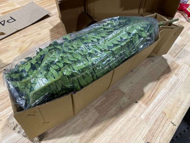 Fake Fern