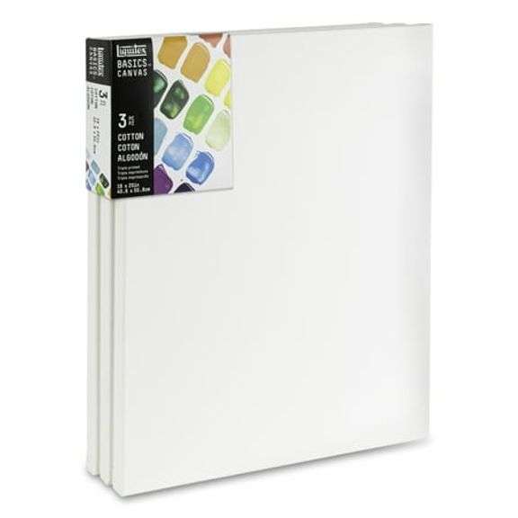 (One damaged) Liquitex BASICS Canvas Pack, 16" x 20"