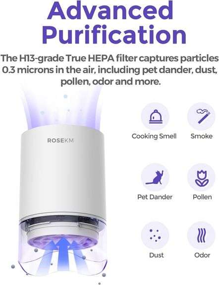 ROSEKM Air Purifier (None)