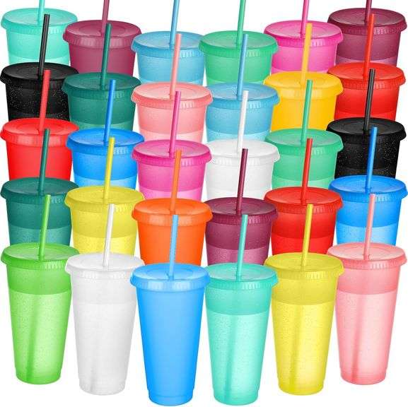Honeydak 30 Pack Tumbler with Straw and Lid Bulk Glitter Plastic Cups Water Bottle Iced Coffee Travel Mug Reusable Party Favor Cups for Birthdays trav