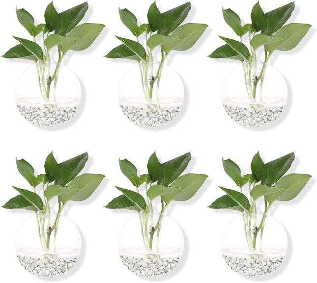 Pack of 6 Glass Planters Wall Hanging Planters Round Glass Plant Pots Hanging Air Plant Pots Flower Vase Air Plant Terrariums Wall Hanging Plant Conta