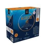 Member's Mark Algaecide 40 (1 gal, 2 ct.)