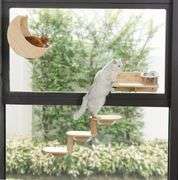 Cat Window Ladder 3-Levels for Indoor Cats Climbing Wood Window Shelf Cats Play and Watch Birds