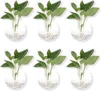 Pack of 6 Glass Planters Wall Hanging Planters Round Glass Plant Pots Hanging Air Plant Pots Flower Vase Air Plant Terrariums Wall Hanging Plant Conta
