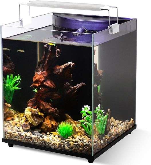 Illustration of Small Gallon Fish Tank With Filter For Beginners