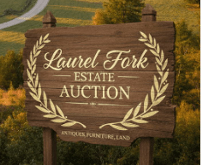 Laurel Fork VA Estate Auction - Part 1