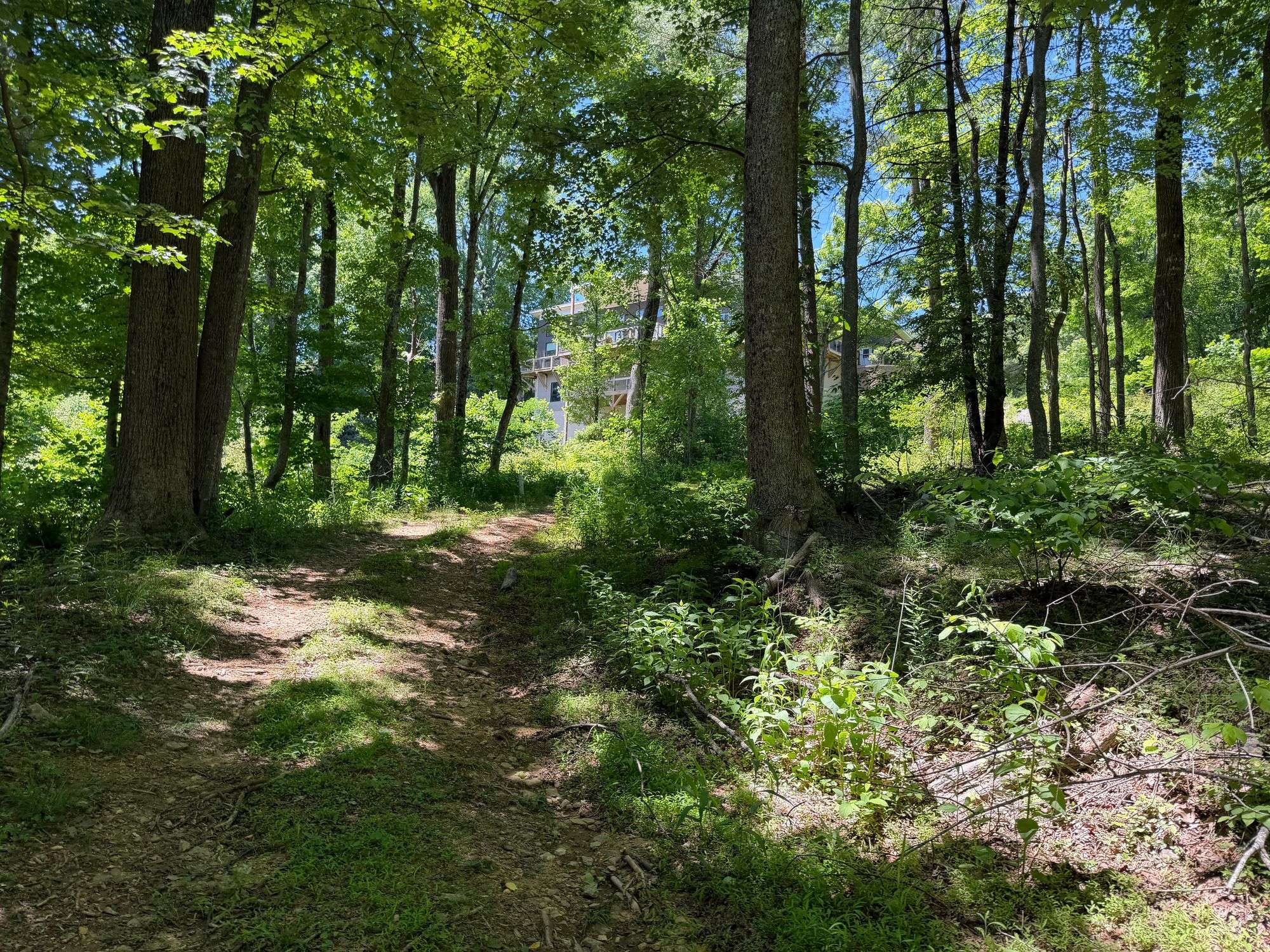 Community Pond Perspective