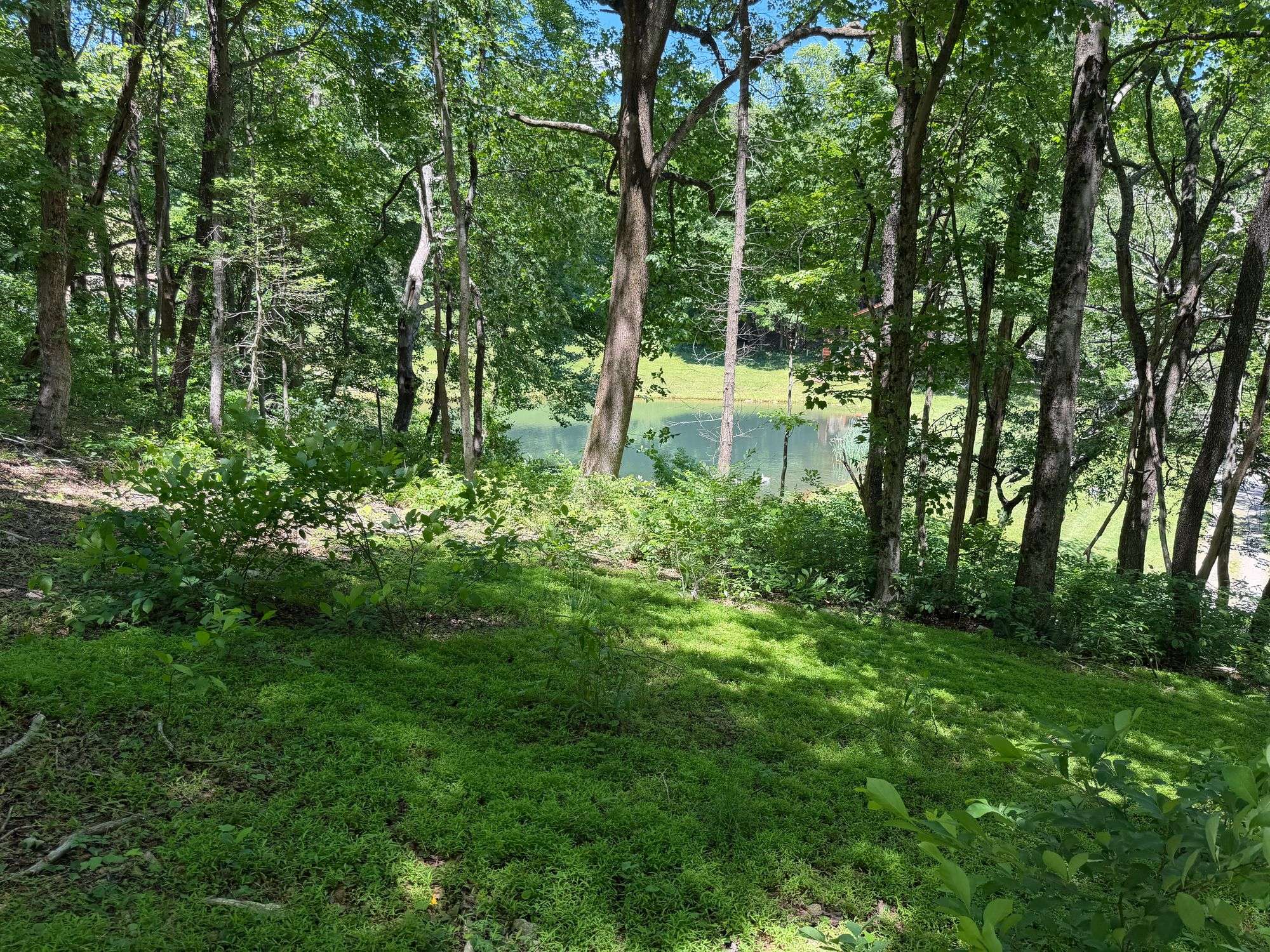 Subdivision Road & Access