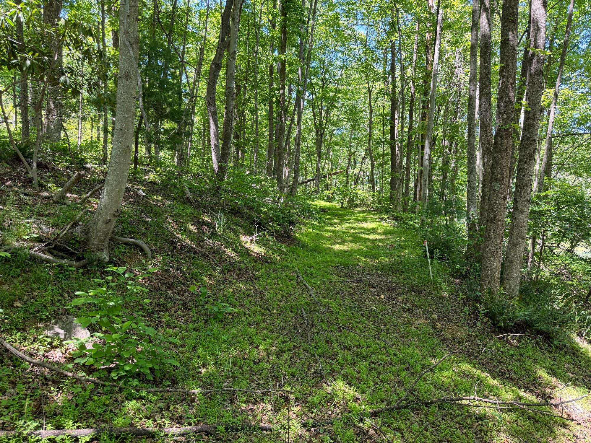 Property Clearing View