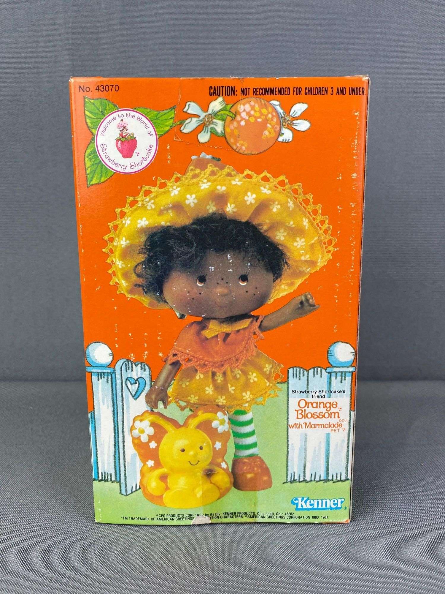 Poupée Vintage Orange Blossom / Strawberry Shortcake - Kenner - Avec Accessoires