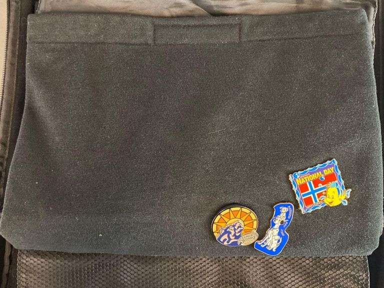 Group of 30+ Disney Enamel Pins and Pin Collector Case