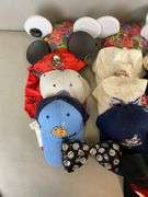 Group of Disney Hats and Ears