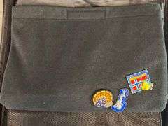 Group of 30+ Disney Enamel Pins and Pin Collector Case