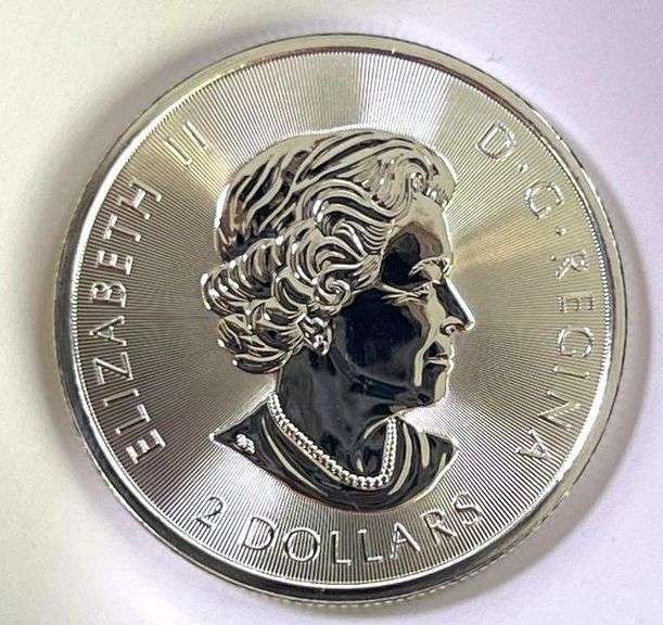 2019 Canada Polar Bear 1/2 oz .9999 Fine Silver