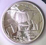 2014 Texas Precious Metals .999 Fine Silver Round